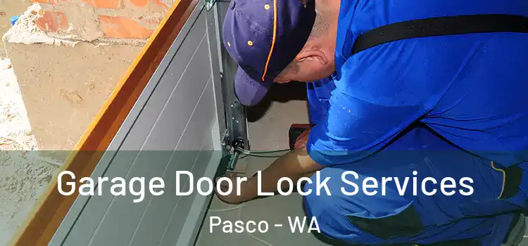 Garage Door Lock Services Pasco - WA