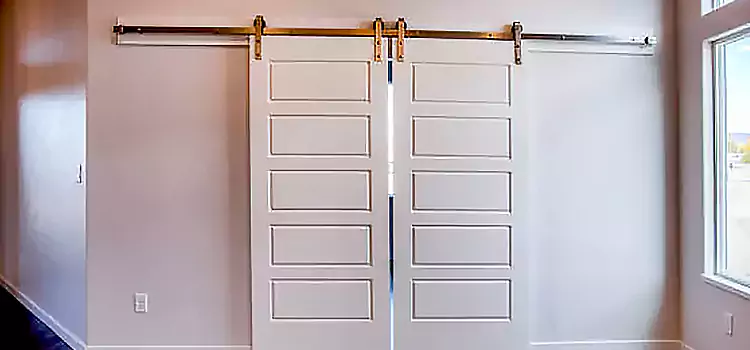 Glass Barn Door with Installation Hardware Kit Pasco