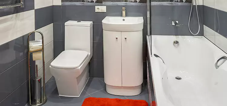 Hansgrohe Shaving Mirror Pasco