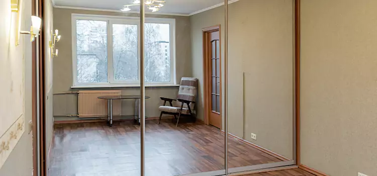 Mirror Closet Door Roller Replacement Pasco