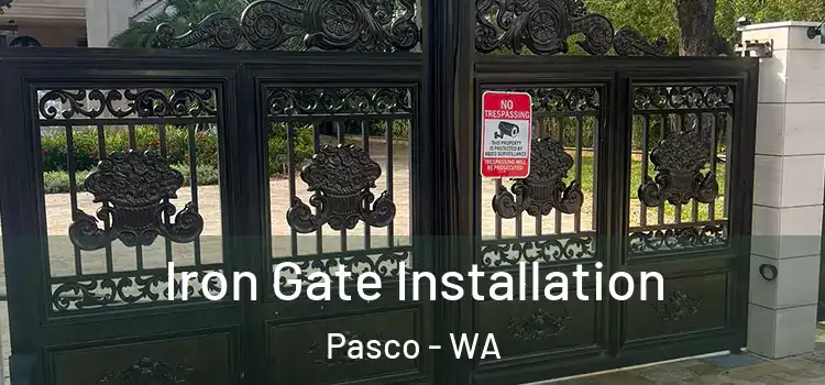 Iron Gate Installation Pasco - WA
